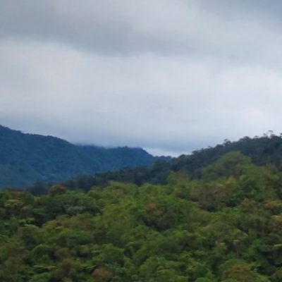 Bosques secos del marañon campus UNJ Bosques secos del marañon campus UNJ